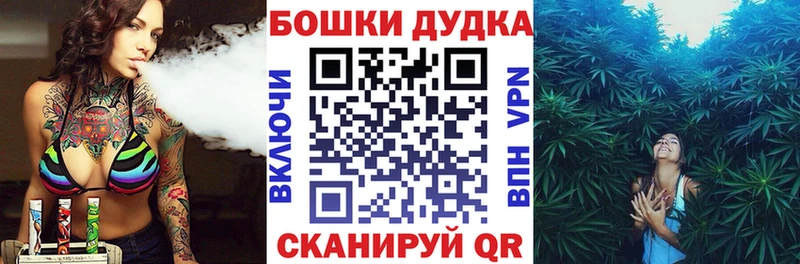 МАРИХУАНА план  ссылка на мегу ССЫЛКА  Шагонар 